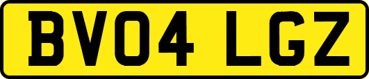 BV04LGZ