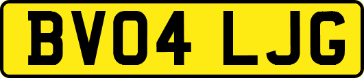 BV04LJG