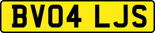 BV04LJS