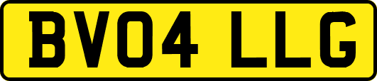 BV04LLG