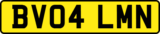 BV04LMN