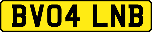 BV04LNB