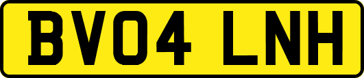 BV04LNH