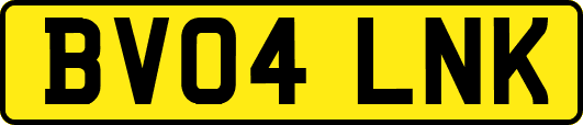 BV04LNK