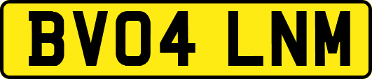 BV04LNM