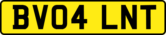 BV04LNT