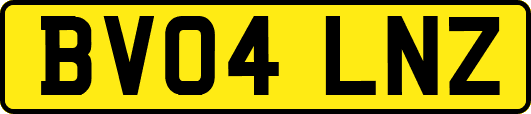 BV04LNZ