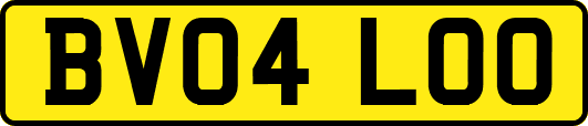 BV04LOO