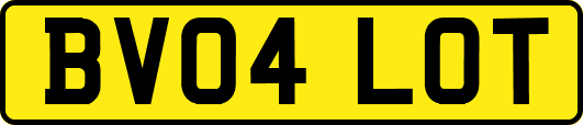 BV04LOT