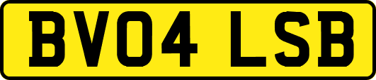 BV04LSB