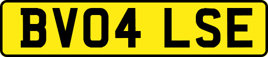 BV04LSE
