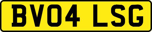 BV04LSG