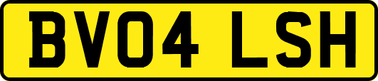 BV04LSH