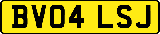 BV04LSJ