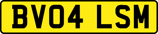 BV04LSM