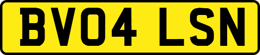 BV04LSN