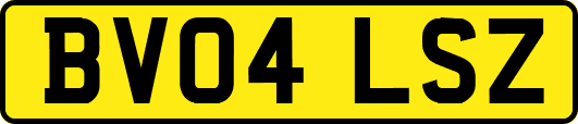 BV04LSZ