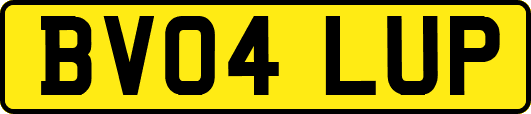 BV04LUP