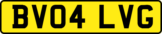 BV04LVG