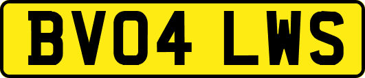 BV04LWS