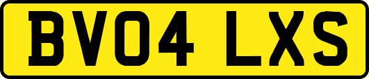 BV04LXS