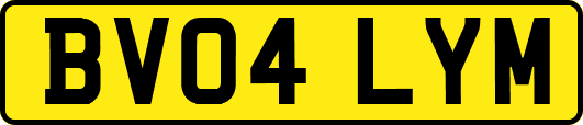 BV04LYM