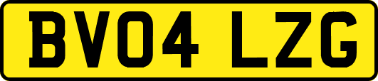 BV04LZG