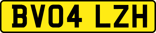 BV04LZH