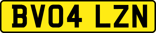 BV04LZN