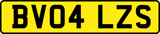 BV04LZS