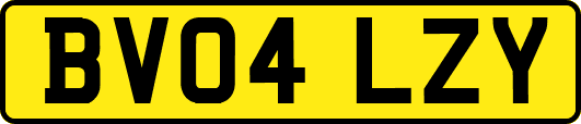BV04LZY