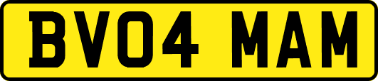 BV04MAM