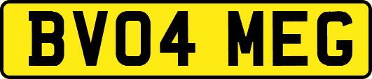 BV04MEG