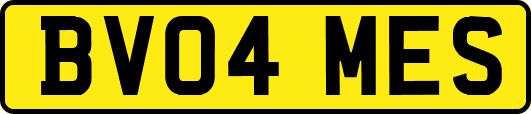 BV04MES