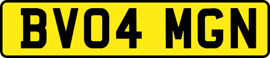 BV04MGN