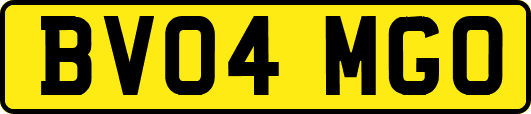 BV04MGO