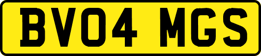 BV04MGS