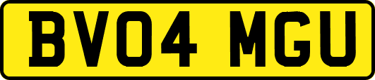 BV04MGU
