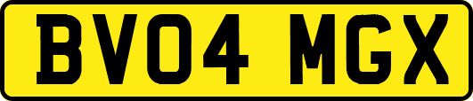 BV04MGX