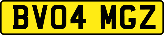 BV04MGZ