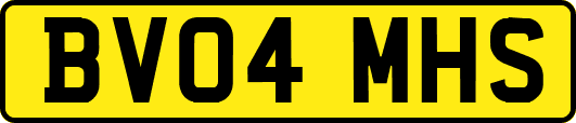 BV04MHS