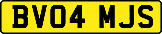 BV04MJS
