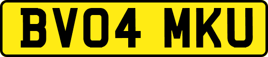 BV04MKU