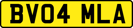 BV04MLA