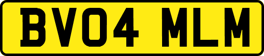 BV04MLM