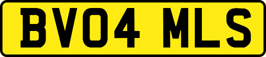 BV04MLS