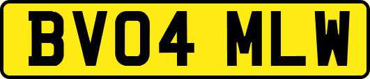 BV04MLW