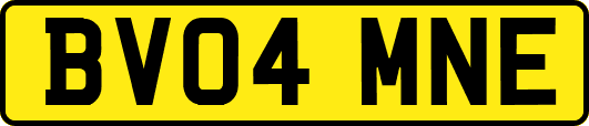 BV04MNE