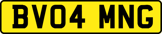BV04MNG