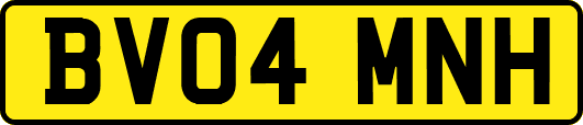 BV04MNH